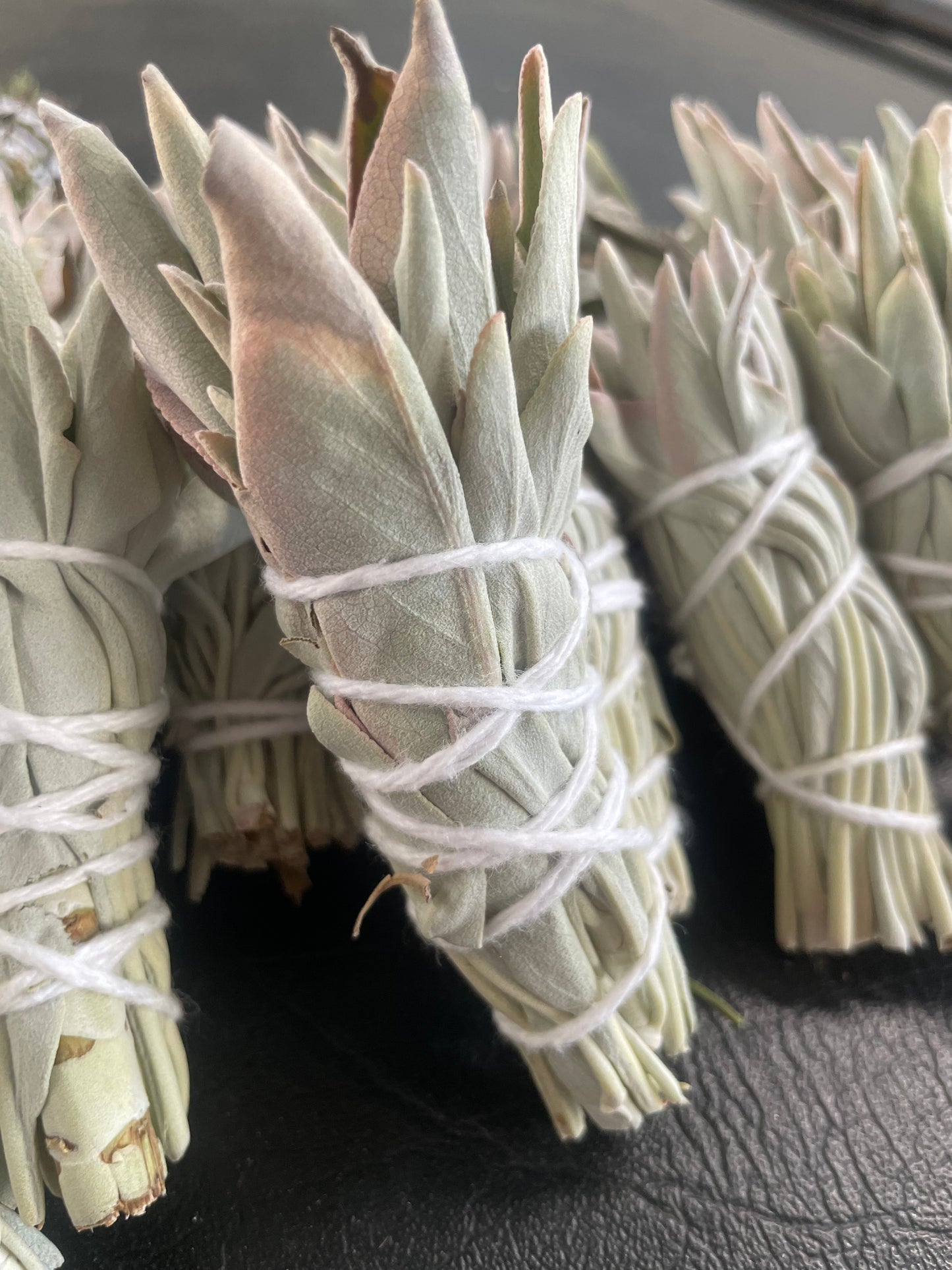 Farm Raised White Sage Smudge Stick