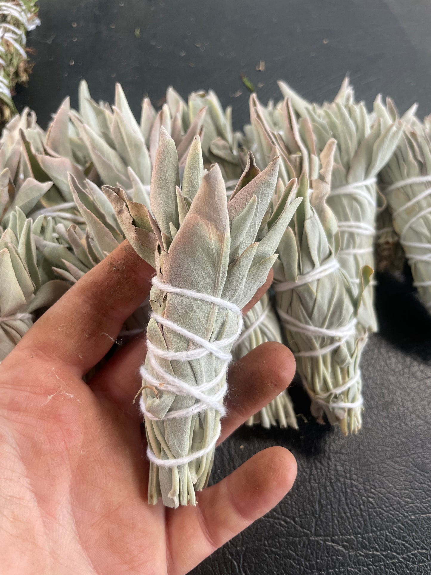 Farm Raised White Sage Smudge Stick