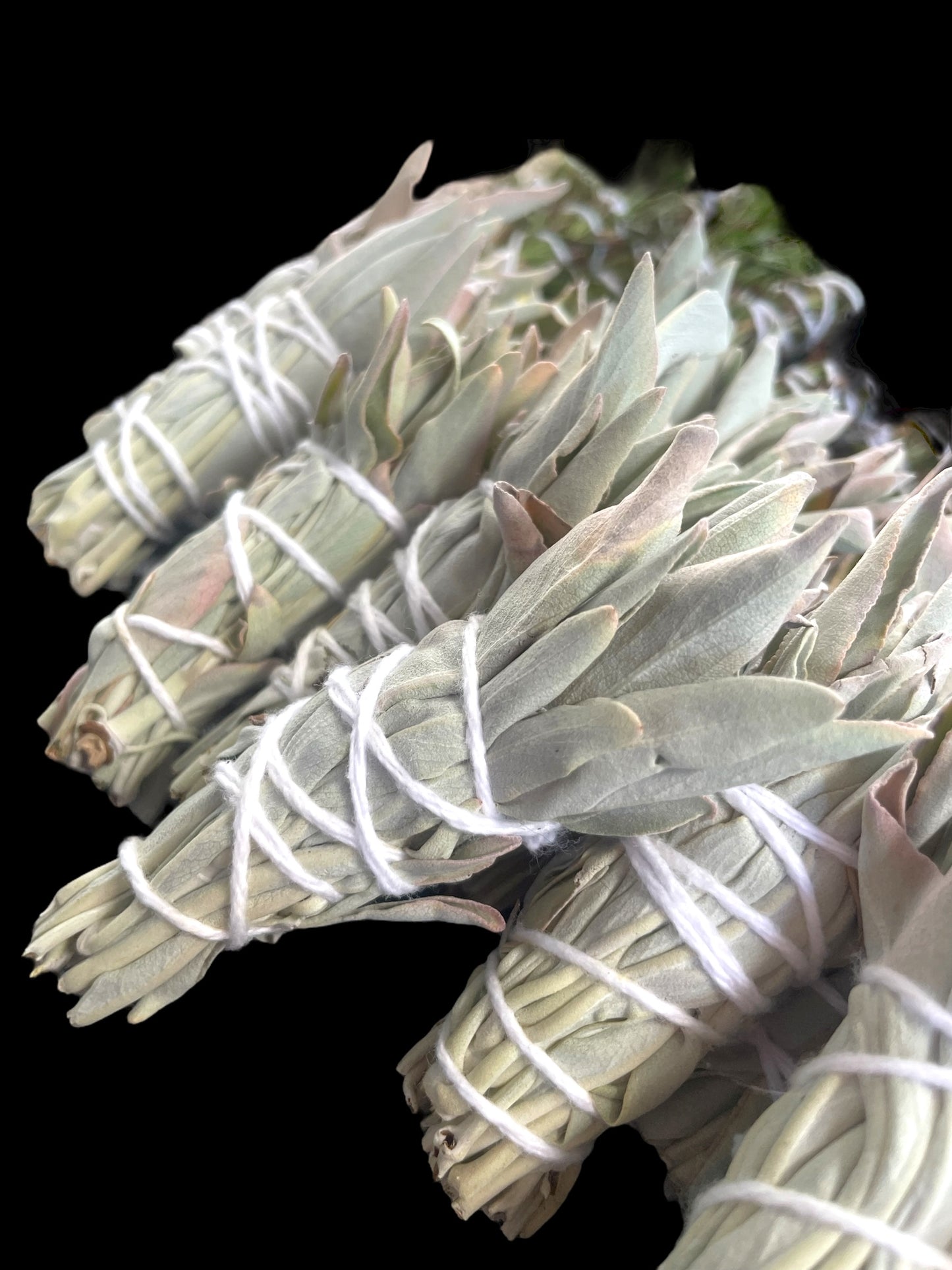 Farm Raised White Sage Smudge Stick