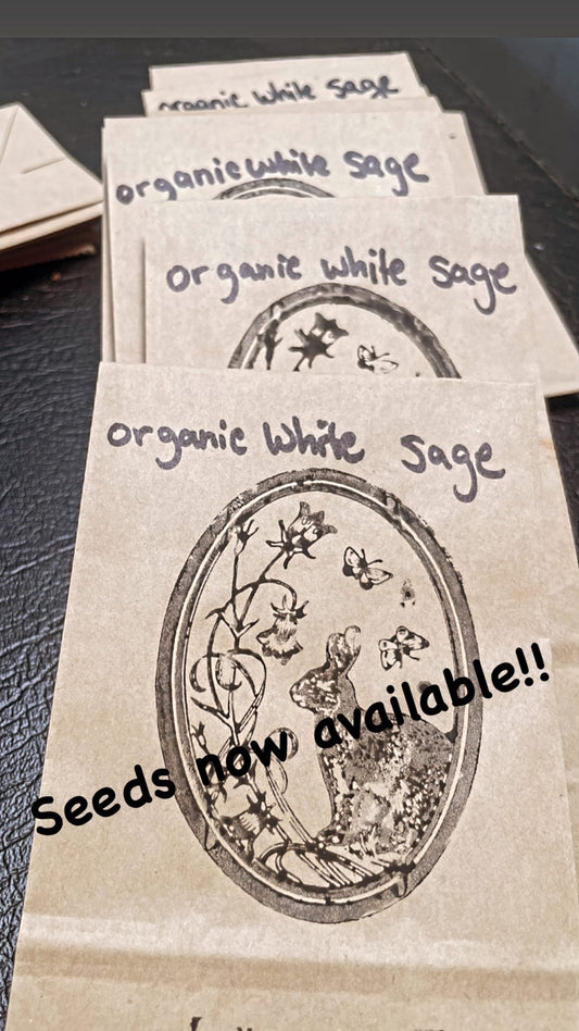 Organic White Sage Seeds